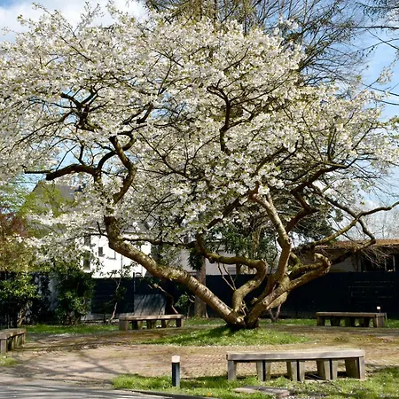 Hotel Tibet Am Airport Düsseldorf-ratingen Ratingen