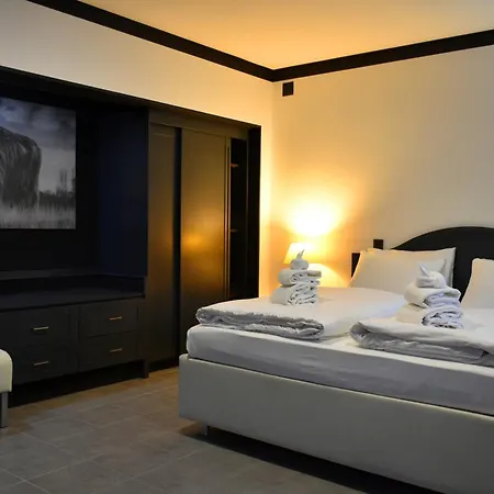 Tibet Am Airport Düsseldorf-ratingen * Ratingen