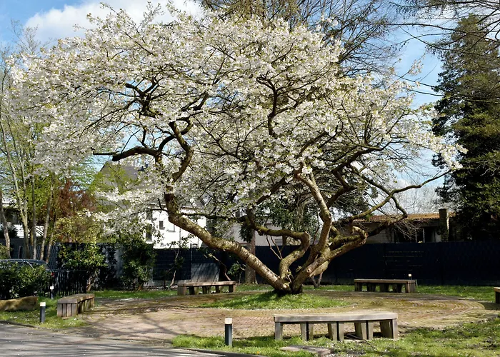 Tibet Am Airport Duesseldorf-ratingen فندق *